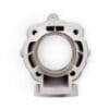 MALOSSI Cilinder kit Ø65mm 172,5CC H2O