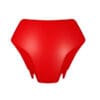RACETECH Voornummerplaat