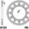 EK/PBR Kettingkit 520 SRX2 - 13/50-110 – Standaard achtertandwiel staal